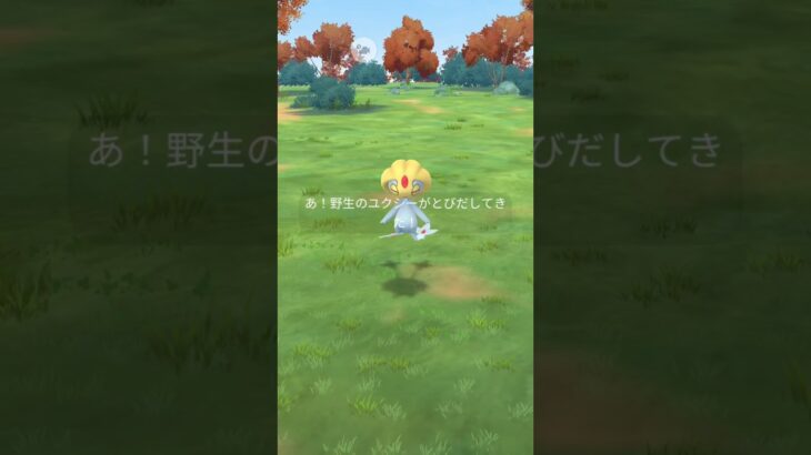 UMA🛸野生のユクシーがとびだしてきた！#ポケモンgo#ポケモン #Pokemon#pokemongo #準伝説 #ユクシー#UMA#野生#レアポケモン