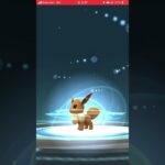 イーブイを相棒にせず進化する方法　#ポケモンgo