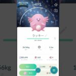 【 ポケモンgo 】2024Xmas背景ラッキー！かわいいィィ！【 うさぴよの巣 】#pokemongo #pokemon #ポケットモンスター