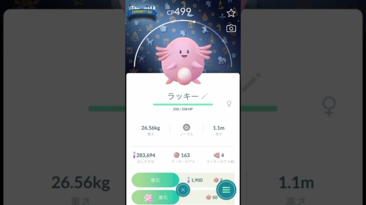 【 ポケモンgo 】2024Xmas背景ラッキー！かわいいィィ！【 うさぴよの巣 】#pokemongo #pokemon #ポケットモンスター