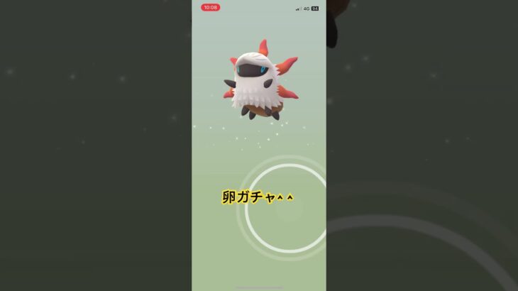 卵ガチャ #ポケモンgo #shorts