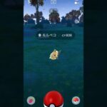 モルペコ６連　#ポケモンgo　#Pokemongo