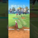 ポケモンＧＯーーー