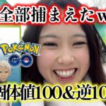 【優勝🏆️】ニャオハ😸☘️コミュニティデイで個体値100＆逆100✨️GBL個体もGET💯ポケモンGO Pokémon GO 포켓몬고