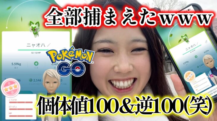 【優勝🏆️】ニャオハ😸☘️コミュニティデイで個体値100＆逆100✨️GBL個体もGET💯ポケモンGO Pokémon GO 포켓몬고