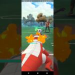 4色カップ【ポケモンGO】スターミー、ラウドボーン、ジャローダ