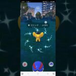 ポケモンGO　コリンク　シルクハット　色違い　今日の収穫はこれだけ