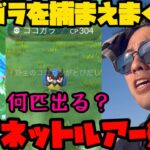 【ポケモンGO】ぼっちマグネットルアー祭り開催！新実装のココガラ、何匹出るのか！【鋼の決意】