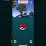 【難易度低】ナマケロ極小サークルクリティカルゲット【ポケモンGO】