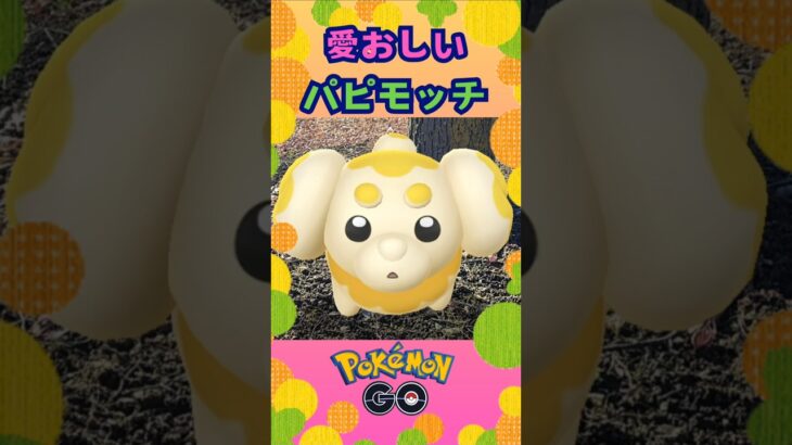 愛おしいパピモッチ‼【ポケモンGO】