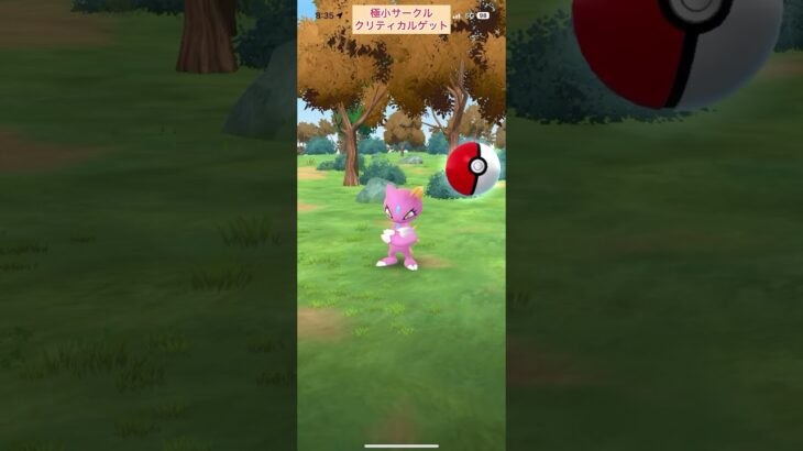 【難易度低】色違いニューラ極小サークルクリティカルゲット【ポケモンGO】