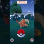 【難易度低】クイタラン極小サークルクリティカルゲット【ポケモンGO】