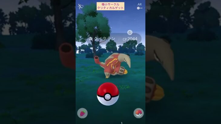 【難易度低】クイタラン極小サークルクリティカルゲット【ポケモンGO】