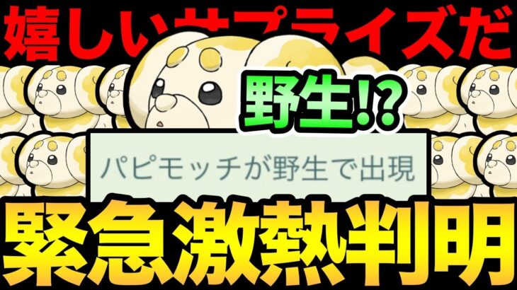 うおおお！神サプライズだ！まさかのパピモッチが野生出現！これで野生に出なかったら…ブチギれるよ！【 ポケモンGO 】【 GOバトルリーグ 】【 GBL 】【 スーパーリーグ 】