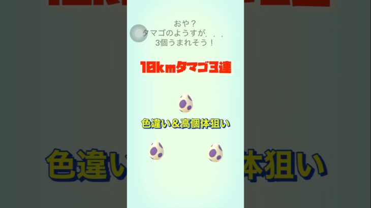 【ポケモンGO】10kmタマゴ3連🥚✨#ポケモンgo #shorts #10kmタマゴ