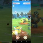 ポケモンGOホリデーカップ対戦ノコッチ＆ゴビット＆チルット全5戦③