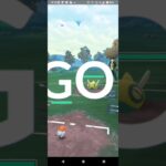 ポケモンGOホリデーカップ対戦ヤヤコマ＆ゴビット＆チルット全5戦④