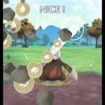 【ポケモンGOバトル#563】これで勝利記録伸ばしました✨さあ今すぐ上の🐸マークをタップして👍&チャンネル登録しよう！！ココチAチャンネルオリジナルポケモンGOバトル動画がいつでもどこでも見放題だ