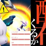 【ポケモンGO】驚き！！まもなく〇〇可能に！？限定配布となるのか？イッシュツアーに向けて準備も・・。【フィールド効果・BWキュレム・キラポケモン・Pokémon GO】