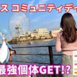 【ポケモンGO】ラルトスコミュニティデイで史上最強激レア個体GET!?!?【みなとみらい】