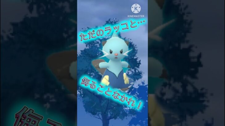 【ポケモンGO】モルペコを狩れる水単タイプ！？隠し球を持つフタチマルが面白い！！！！！(スーパーリーグ)#ポケモンgo #goバトルリーグ #shorts