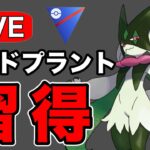 コミュデイお疲れさまでした！今日はマスカーニャ回です！ Live #1200【スーパーリーグ】【GOバトルリーグ】【ポケモンGO】