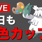 今日も勝ち越し目指してやっていく！ Live #1205【4色カップ】【GOバトルリーグ】【ポケモンGO】