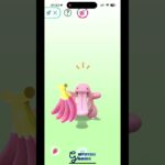 Pokemon GO – gintotski Playing with Buddy Lickitung