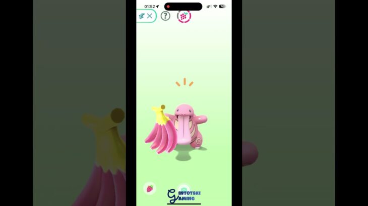 Pokemon GO – gintotski Playing with Buddy Lickitung