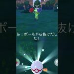 ロゼリア捕獲チャレンジ！ #ポケモンgo