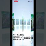 #ポケカ開封動画 #ポケモンカード #pokemon #神ガチャ #神引き #ゲーム #pokemoncards #ポケモン #ポケモンgo