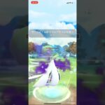 踊れ踊れ、シャドウサーナイト！！#shorts #pokemongo #pokemon #ポケモン #ポケモンgo #ポケgo