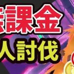 ダイマックスサンダー無課金でも２人討伐は可能！でも問題も…