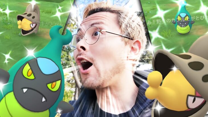 チョボマキ＆カブルモ！色違い！高個体！？逆100？？！！コミュデイだあああ！！【ポケモンGO】