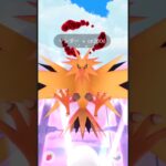 ダイマックスサンダーに挑戦する！！🔥#ポケモンGO