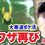 裏ワザ回数上限解放！大寒波ミニマイティ速報ポケ活が地獄だった【ポケモンGO】