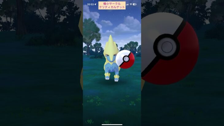 【難易度低】ライボルト極小サークルクリティカルゲット【ポケモンGO】