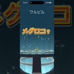 【ポケモンGO】またまたエラー？それともバグなのか？メグロコ進化させた結果、、 #ポケモン #ポケットモンスター #ポケモンGO