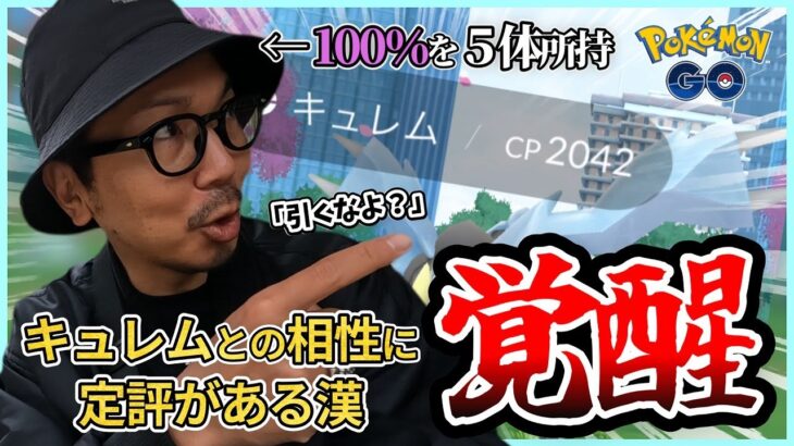 【ポケモンGO】そそそそんなことある・・・！？スーパーキュレム系男子が完全覚醒！！500個以上「10kmタマゴ」をカチ割った男たちに涙が止まらない・・・。【イッシュツアー最終日】