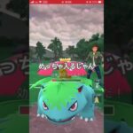 コノヨザル大活躍‼️【ポケモンGO】#goバトルリーグ