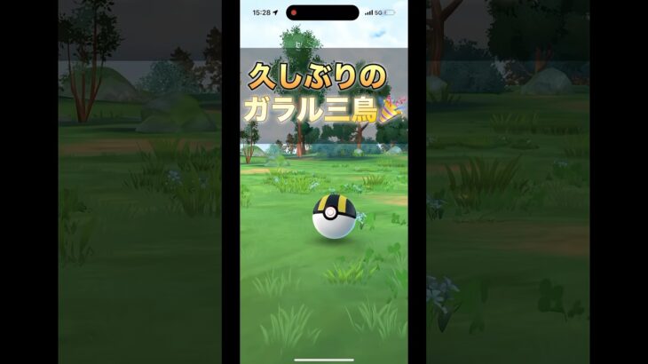 （ポケモンGO）久しぶりにガラル三鳥が来た！#ポケモンgo #pokmongo #shorts