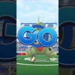 【修正版】メガルカリオでメガバンギラスソロ討伐！　ポケモンGOレイド　#pokemon  #pokmongo #shorts