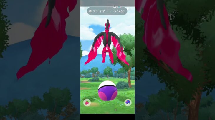 ポケモンgo ガラルファイヤー 登場 マスターボール使用時の一部始終   #ポケモン #ガラルファイヤー #マスターボール