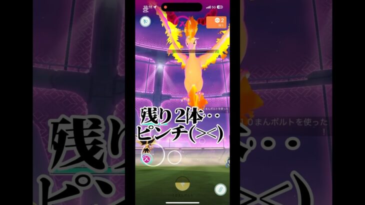 前回の屈辱を、果たせるか！？#ポケモン #ポケモンgo #ファイヤー #ダイマックス