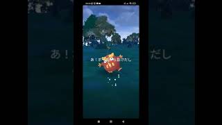#ポケモン #ポケモンgoまだやってます #pokemongo #ポケモンgo好きと繋がりたい #pokemon #ポケモンgo #ポケgo #ポケモンgo好きな人と繋がりたい