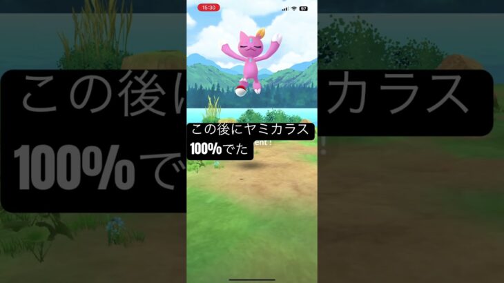 この後のヤミカラス100% #ポケモンgo #ポケモン #pokemongo #後悔