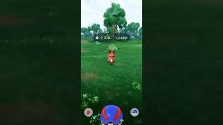 【ポケモンGO】 クスネ（通常色） 捕獲動画！！