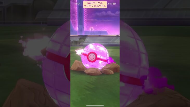 【難易度中】ダイマックスラッキー極小サークルクリティカルゲット【ポケモンGO】