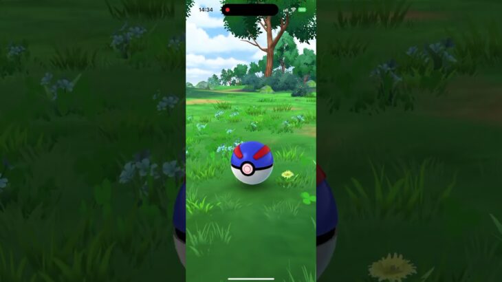 【ポケモンGO】ウデッポウ【色違い】