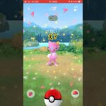 ガラル三鳥狙いで散歩してたら？【ポケモンGO】